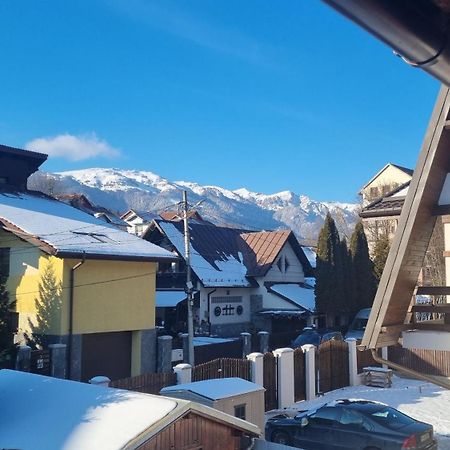 Vila Panselutelor 6 Sinaia Buitenkant foto