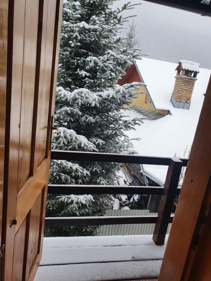 Vila Panselutelor 6 Sinaia Buitenkant foto