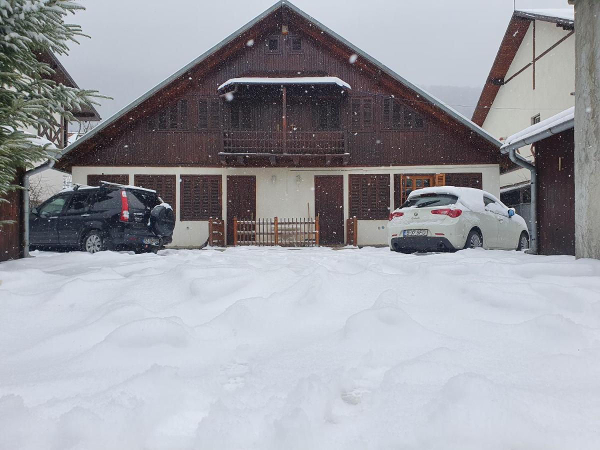 Vila Panselutelor 6 Sinaia Buitenkant foto