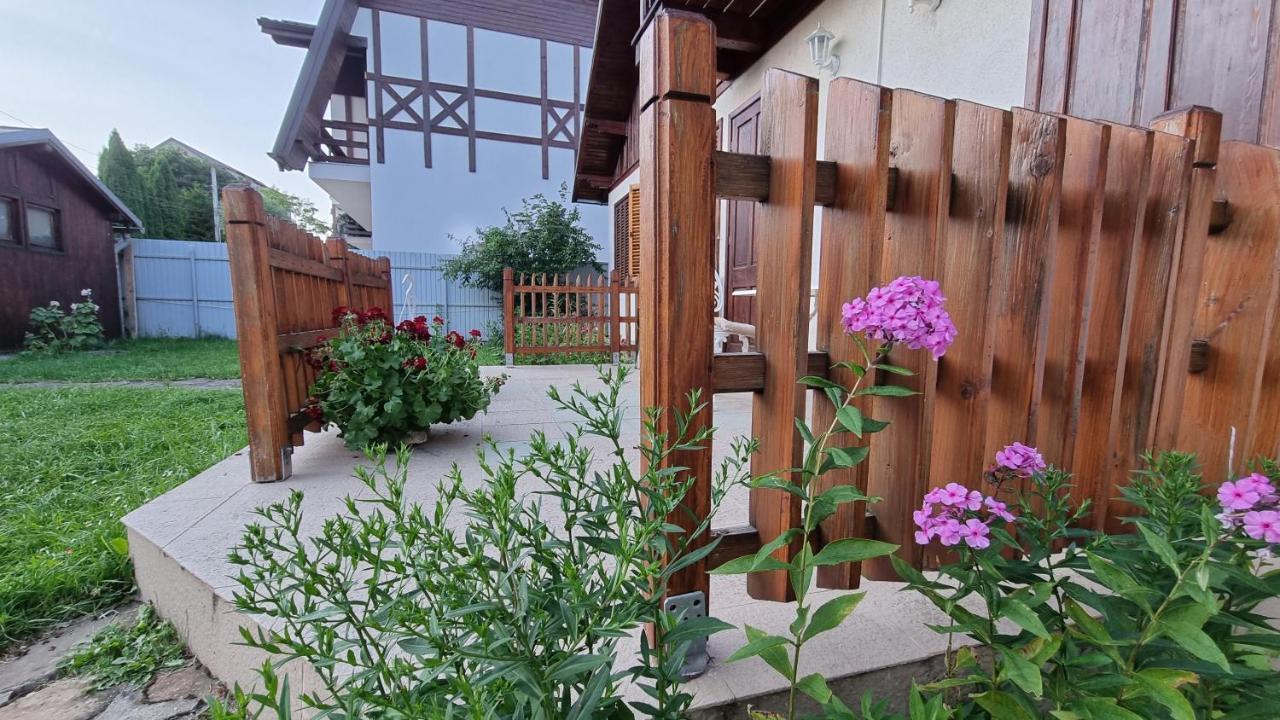 Vila Panselutelor 6 Sinaia Buitenkant foto